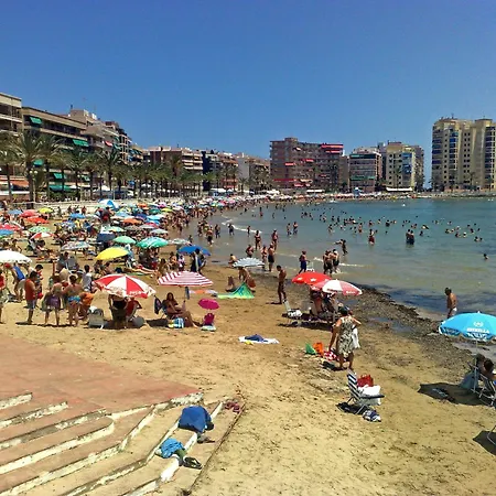 Homely Islandia Torrevieja